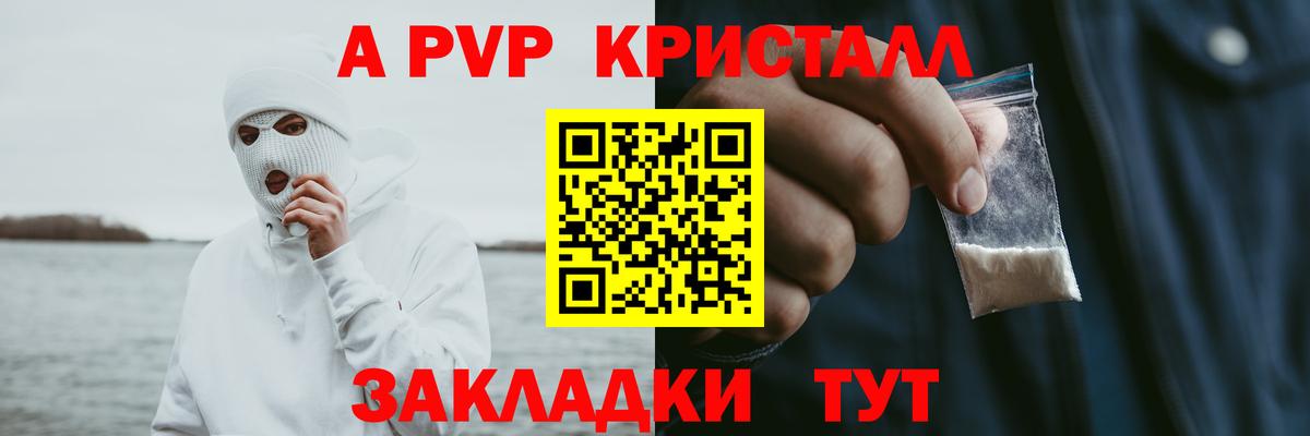 Alfa_PVP СК Балтийск