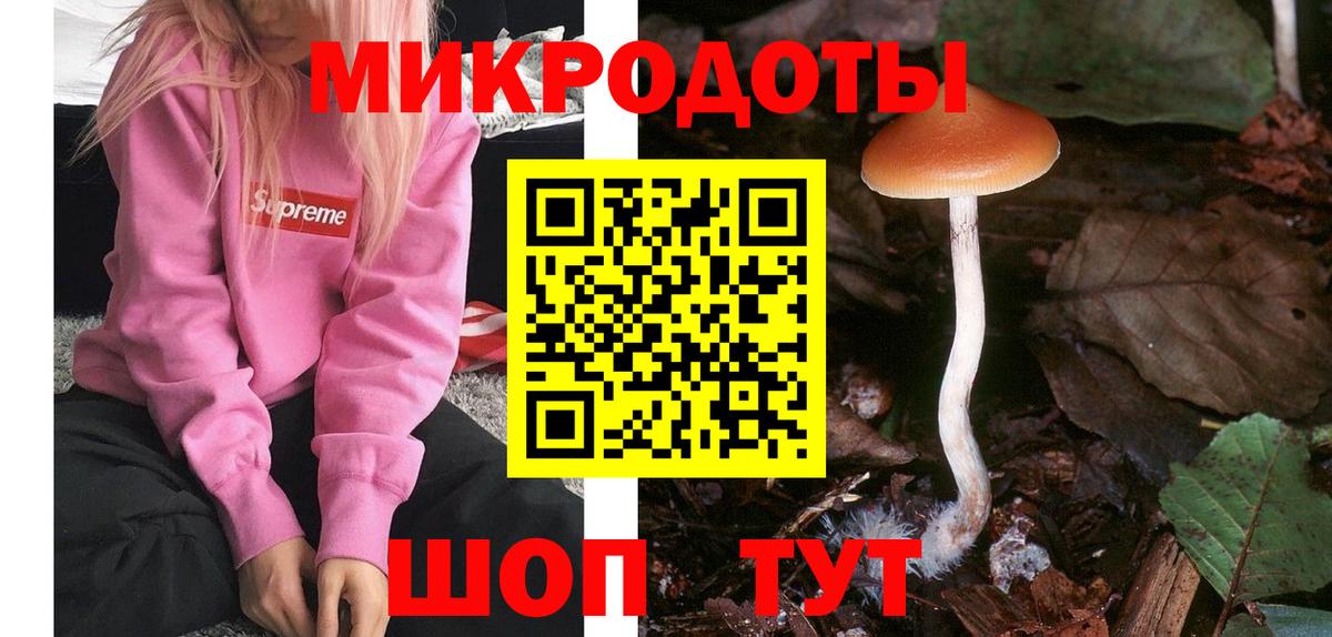 Балтийск  Галлюциногенные грибы Psilocybe  цена наркотик  Галлюциногенные грибы Psilocybine cubensis  Вход с VPN 